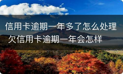 信用卡逾期一年多了怎么处理 欠信用卡逾期一年会怎样