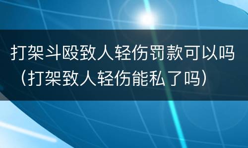 打架斗殴致人轻伤罚款可以吗（打架致人轻伤能私了吗）