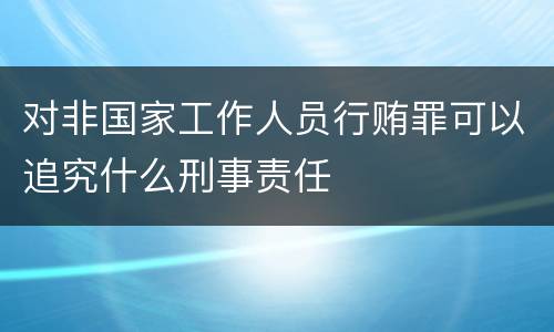 对非国家工作人员行贿罪可以追究什么刑事责任