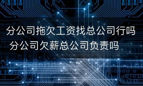 分公司拖欠工资找总公司行吗 分公司欠薪总公司负责吗