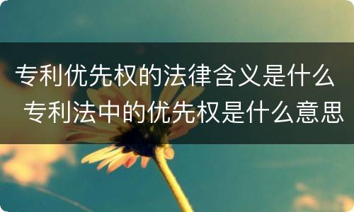 专利优先权的法律含义是什么 专利法中的优先权是什么意思