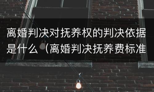 离婚判决对抚养权的判决依据是什么（离婚判决抚养费标准）
