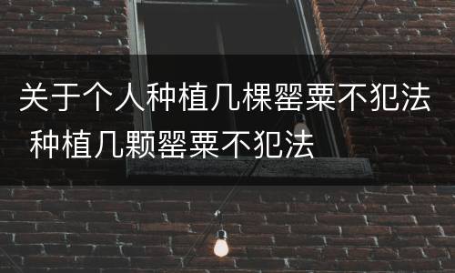 关于个人种植几棵罂粟不犯法 种植几颗罂粟不犯法