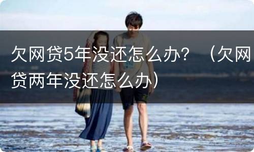 欠网贷5年没还怎么办？（欠网贷两年没还怎么办）