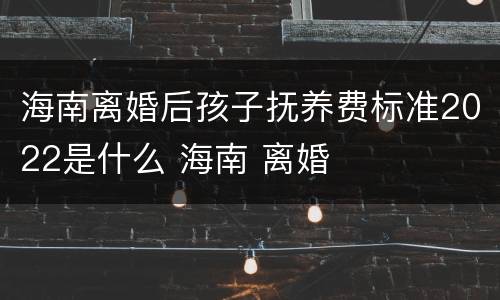 海南离婚后孩子抚养费标准2022是什么 海南 离婚