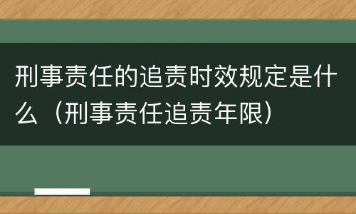 刑事责任的追责时效规定是什么（刑事责任追责年限）