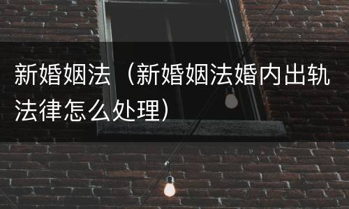 新婚姻法（新婚姻法婚内出轨法律怎么处理）