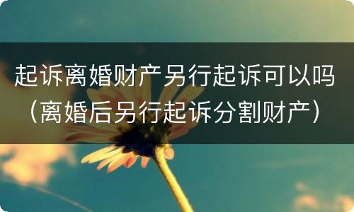 起诉离婚财产另行起诉可以吗（离婚后另行起诉分割财产）
