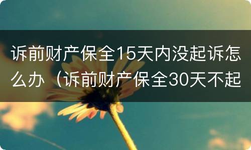 诉前财产保全15天内没起诉怎么办（诉前财产保全30天不起诉的后果）