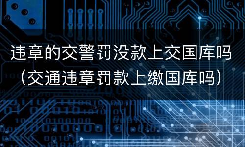 违章的交警罚没款上交国库吗（交通违章罚款上缴国库吗）