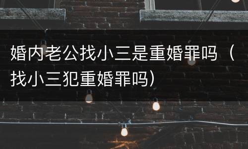 婚内老公找小三是重婚罪吗（找小三犯重婚罪吗）