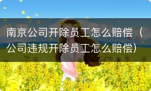 南京公司开除员工怎么赔偿（公司违规开除员工怎么赔偿）