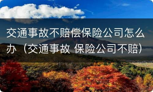 交通事故不赔偿保险公司怎么办（交通事故 保险公司不赔）