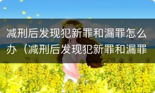 减刑后发现犯新罪和漏罪怎么办（减刑后发现犯新罪和漏罪怎么办呢）