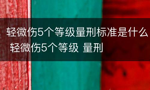 轻微伤5个等级量刑标准是什么 轻微伤5个等级 量刑