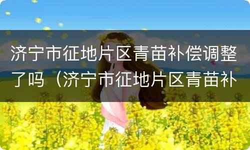 济宁市征地片区青苗补偿调整了吗（济宁市征地片区青苗补偿调整了吗）