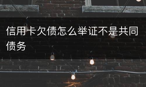 信用卡欠债怎么举证不是共同债务