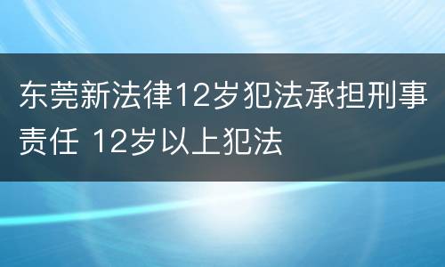 东莞新法律12岁犯法承担刑事责任 12岁以上犯法