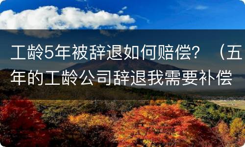工龄5年被辞退如何赔偿？（五年的工龄公司辞退我需要补偿）
