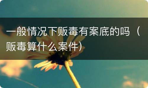 一般情况下贩毒有案底的吗（贩毒算什么案件）
