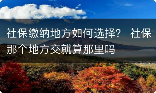 社保缴纳地方如何选择？ 社保那个地方交就算那里吗