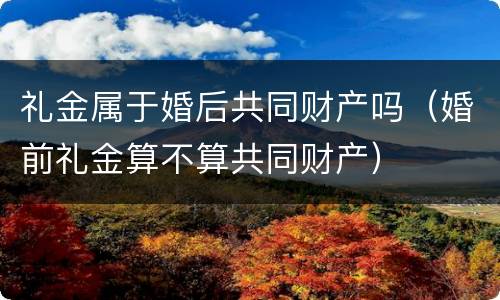 礼金属于婚后共同财产吗（婚前礼金算不算共同财产）