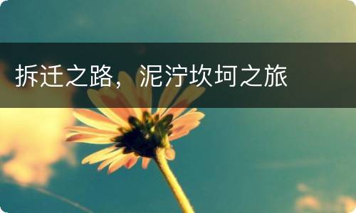 拆迁之路，泥泞坎坷之旅