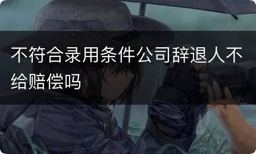 不符合录用条件公司辞退人不给赔偿吗