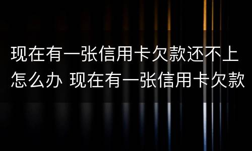 现在有一张信用卡欠款还不上怎么办 现在有一张信用卡欠款还不上怎么办呢