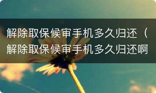 解除取保候审手机多久归还（解除取保候审手机多久归还啊）