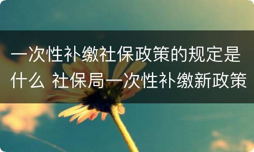 一次性补缴社保政策的规定是什么 社保局一次性补缴新政策