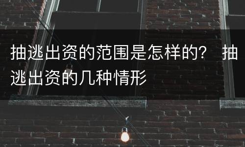 抽逃出资的范围是怎样的？ 抽逃出资的几种情形