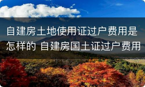 自建房土地使用证过户费用是怎样的 自建房国土证过户费用