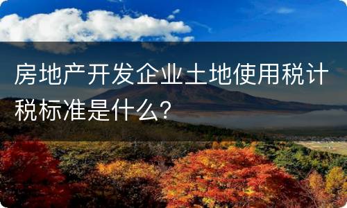 房地产开发企业土地使用税计税标准是什么？