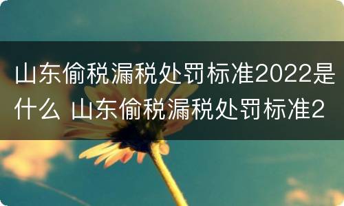 山东偷税漏税处罚标准2022是什么 山东偷税漏税处罚标准2022是什么时候出的