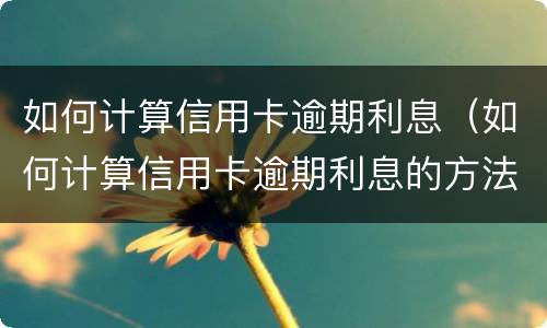 如何计算信用卡逾期利息（如何计算信用卡逾期利息的方法）