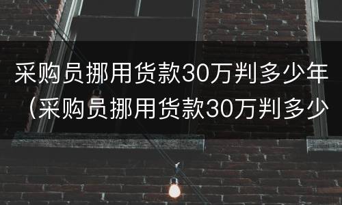 采购员挪用货款30万判多少年（采购员挪用货款30万判多少年刑期）