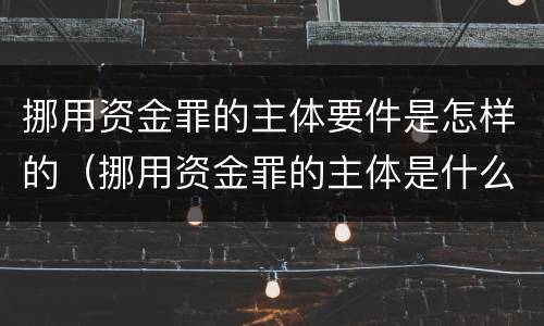 挪用资金罪的主体要件是怎样的（挪用资金罪的主体是什么）