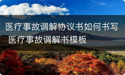 医疗事故调解协议书如何书写 医疗事故调解书模板