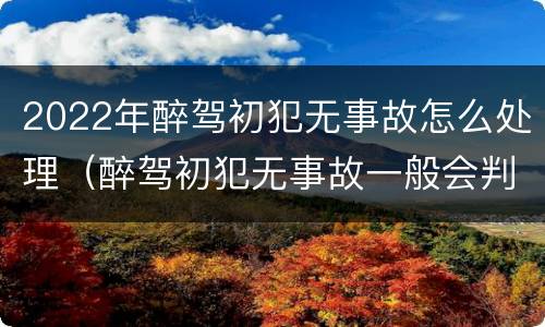 2022年醉驾初犯无事故怎么处理（醉驾初犯无事故一般会判什么刑）