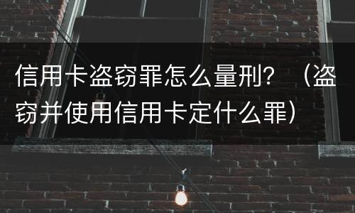 信用卡盗窃罪怎么量刑？（盗窃并使用信用卡定什么罪）