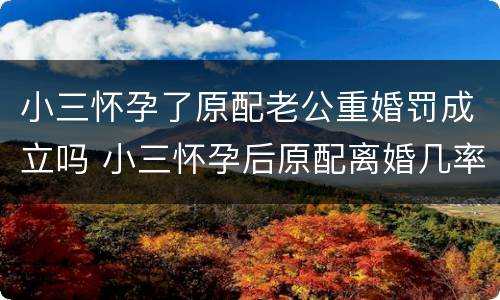 小三怀孕了原配老公重婚罚成立吗 小三怀孕后原配离婚几率大吗