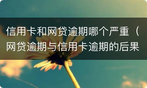 信用卡和网贷逾期哪个严重（网贷逾期与信用卡逾期的后果）