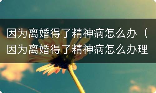 因为离婚得了精神病怎么办（因为离婚得了精神病怎么办理）