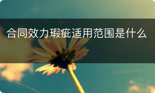 合同效力瑕疵适用范围是什么