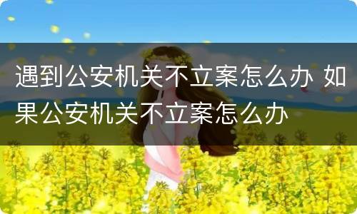 遇到公安机关不立案怎么办 如果公安机关不立案怎么办