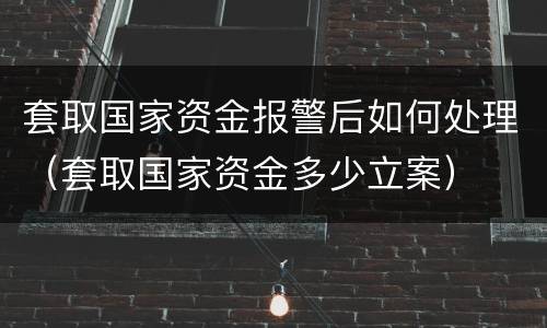 套取国家资金报警后如何处理（套取国家资金多少立案）