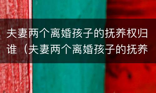 夫妻两个离婚孩子的抚养权归谁（夫妻两个离婚孩子的抚养权归谁所有）