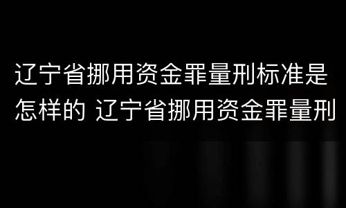 辽宁省挪用资金罪量刑标准是怎样的 辽宁省挪用资金罪量刑标准是怎样的呢