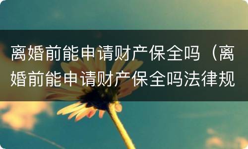 离婚前能申请财产保全吗（离婚前能申请财产保全吗法律规定）